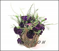 www.floristic.ru - . NEW-   2011