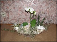 www.floristic.ru - . NEW-   2011