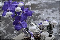 www.floristic.ru - Флористика. NEW-Лучшая работа ДЕКАБРЯ 2011