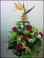 www.floristic.ru - . NEW-   2011