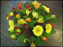 www.floristic.ru - .      