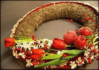 www.floristic.ru - . NEW-   2011