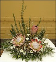 www.floristic.ru - . NEW-   2011