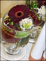 www.floristic.ru - .       - ?