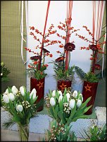 www.floristic.ru - .       - ?