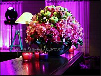 www.floristic.ru - . NEW-   2011