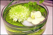 www.floristic.ru - .  