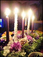 www.floristic.ru - .    