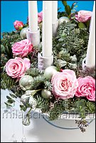 www.floristic.ru - .  Mila Schumann.  . 