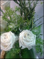 www.floristic.ru - .    -  2012 