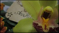 www.floristic.ru - .  