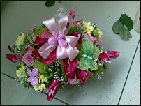 www.floristic.ru - .  