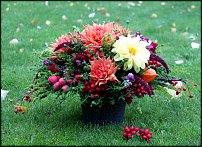 www.floristic.ru - .  !!