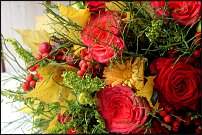 www.floristic.ru - .  !!