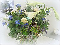 www.floristic.ru - .    -  2012 