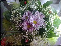 www.floristic.ru - .       ...