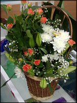 www.floristic.ru - .       ...