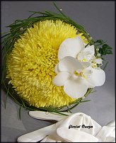 www.floristic.ru - .  .