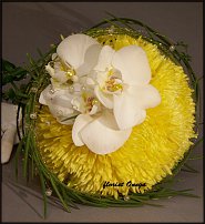 www.floristic.ru - .  .