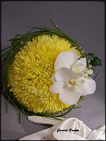 www.floristic.ru - .  .