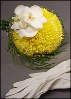 www.floristic.ru - .  .