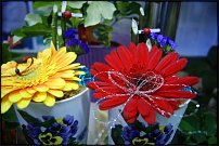 www.floristic.ru - .       ...