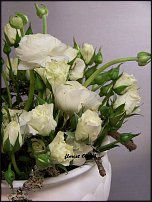 www.floristic.ru - .   