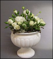 www.floristic.ru - .   