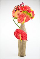 www.floristic.ru - .      .