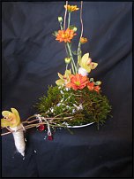 www.floristic.ru - .  