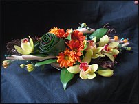 www.floristic.ru - .  