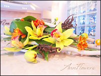 www.floristic.ru - .  