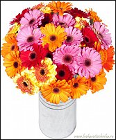 www.floristic.ru - .   