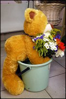 www.floristic.ru - .       - ?