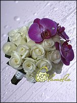 www.floristic.ru - .  .