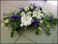 www.floristic.ru - .   