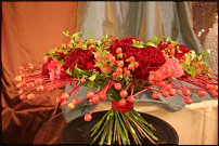 www.floristic.ru - .    (, - )