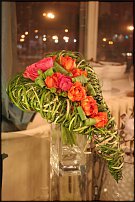 www.floristic.ru - .    (, - )