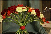 www.floristic.ru - .    (, - )