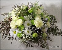 www.floristic.ru - .       ...