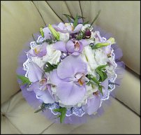 www.floristic.ru - .  .