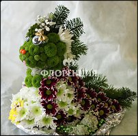 www.floristic.ru - .   ....