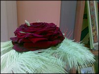 www.floristic.ru - . 