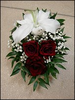 www.floristic.ru - . !!!!!