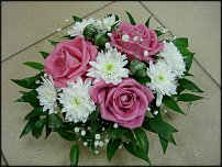 www.floristic.ru - . !!!!!