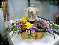 www.floristic.ru - .       ...