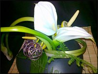 www.floristic.ru - .  