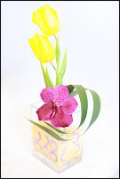 www.floristic.ru - .  