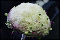 www.floristic.ru - .  .