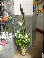 www.floristic.ru - .   